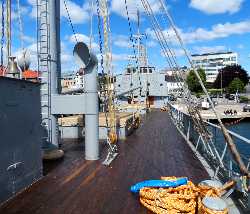 D / S Hestmanden