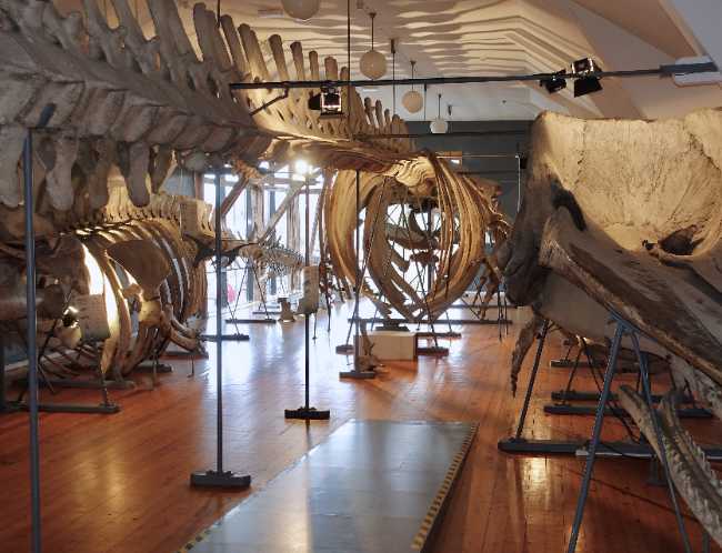 Slottsfjellsmuseet