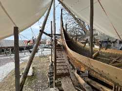 Vikingodden