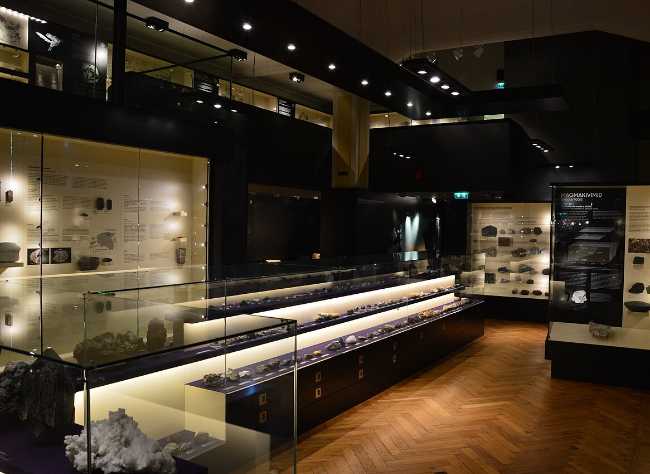 University of Tartu, Museum of Natural History Tartu