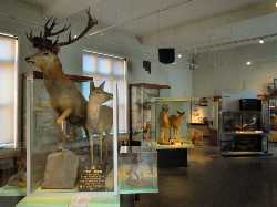 Reading Museum