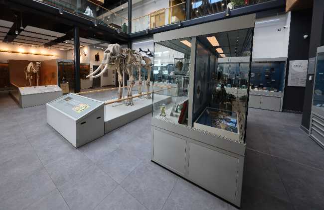 Cole Museum of Zoology