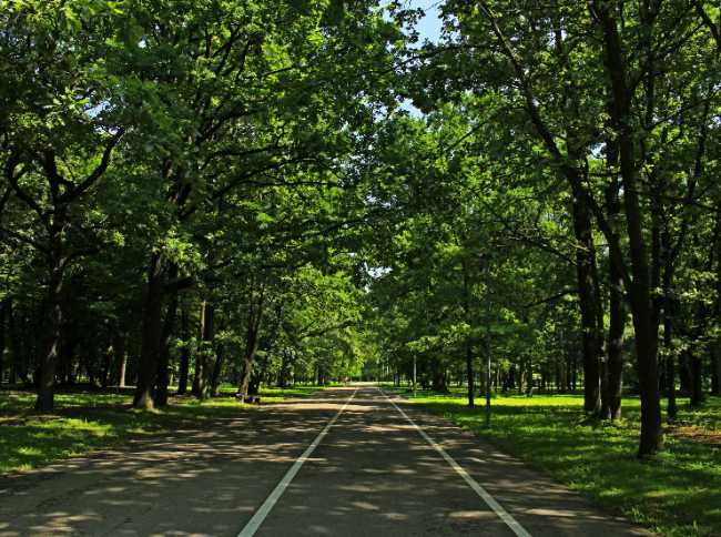 Ąžuolynas Park