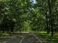 Ąžuolynas Park