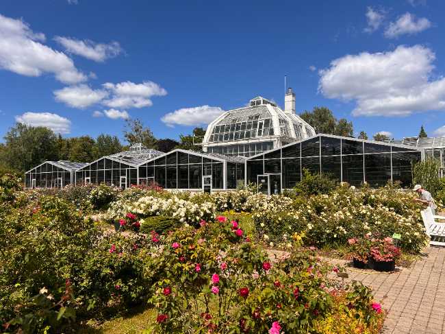 VDU Botanical garden
