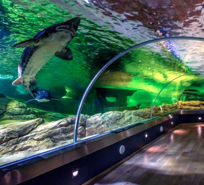 Lithuanian Sea Museum