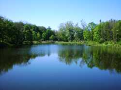 Kėdainiai City Park