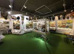 Kendal Museum