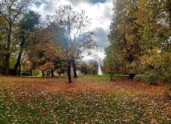 Schlosspark Biebrich