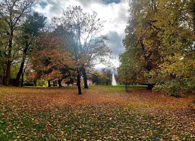 Schlosspark Biebrich