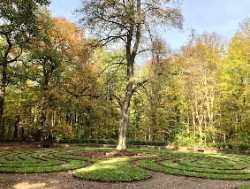 Eilenriede-Labyrinth