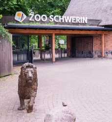 Zoo Schwerin