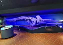 Aquazoo Löbbecke Museum