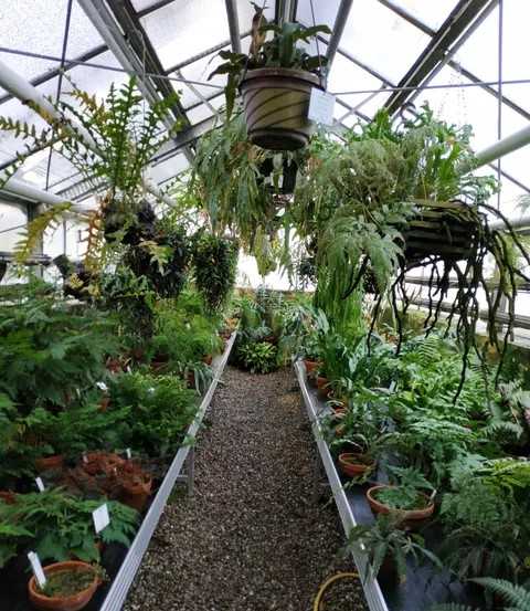 Botanischer Garten der Johannes Gutenberg‑Universität Mainz