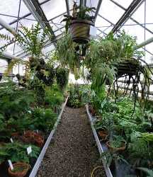 Botanischer Garten der Johannes Gutenberg‑Universität Mainz