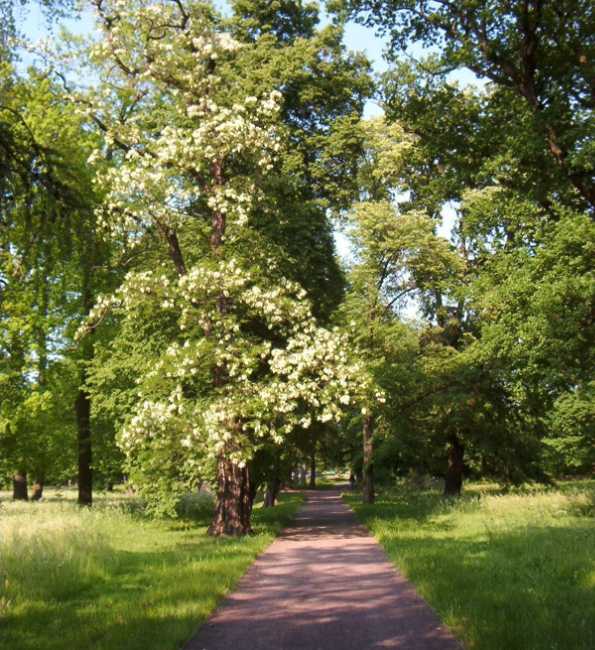 Herrenkrug Park