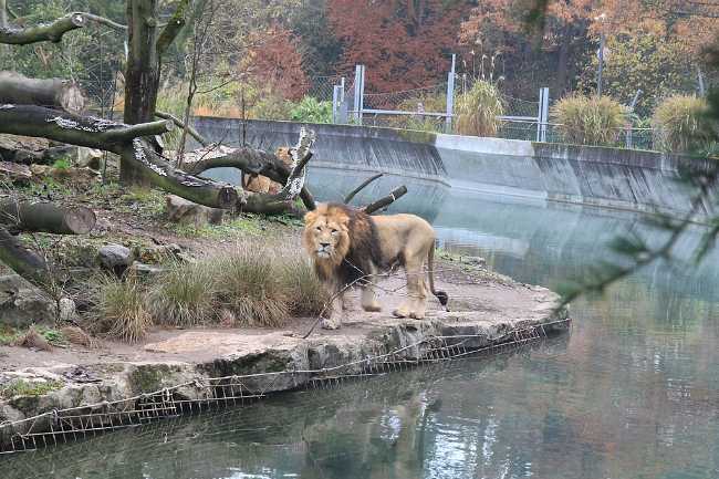 Zoo de Lyon