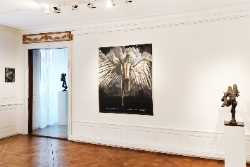 Galerie Sandra Blum