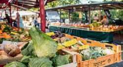 Wochenmarkt am Turmweg