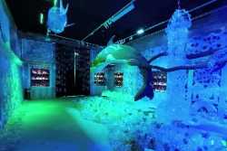 Museum für Völkerkunde Dresden