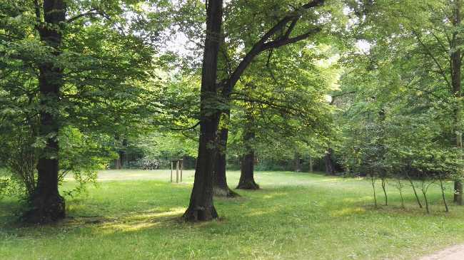 Waldpark Blasewitz
