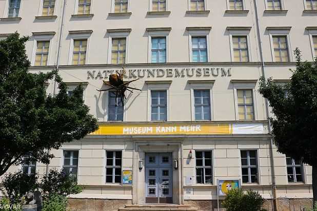 Naturkundemuseum Leipzig