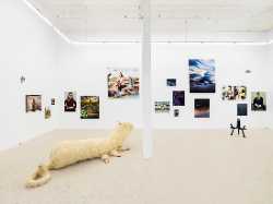 Galerie Laetitia Gorsy