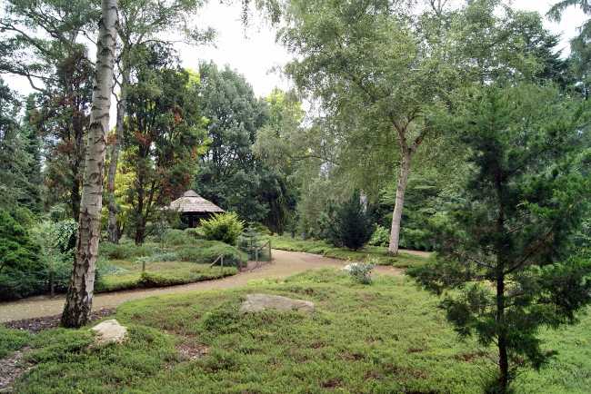 Forstbotanischer Garten und Friedenswald