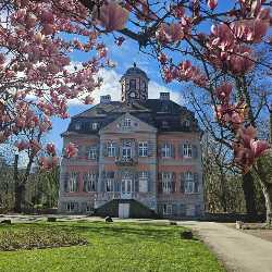Schloss Arff