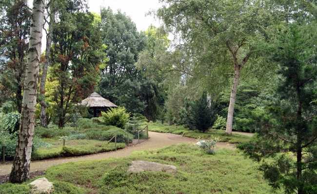 Forstbotanischer Garten Köln