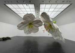 Frankfurter Kunstverein