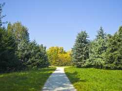 Arboretum Main-Taunus