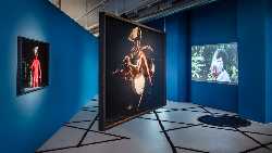 Ifa Gallery Stuttgart