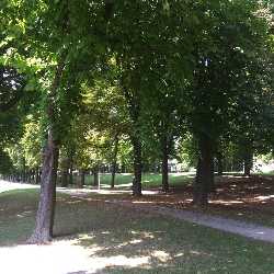 Rosensteinpark