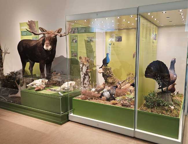 Natural History Museum Potsdam