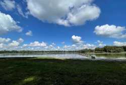 Am Stadtwaldsee Nature Reserve