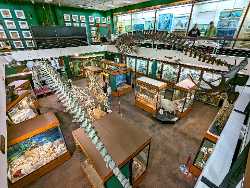 University of Aberdeen Zoology Museum