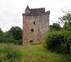 Sauchie Tower