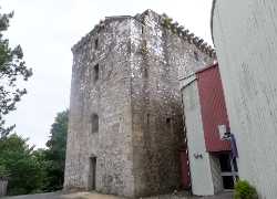 Mearns Castle