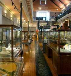 McLean Museum and Art Gallery