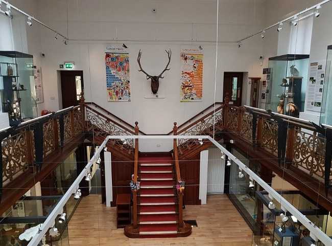Falconer Museum