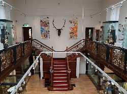 Falconer Museum