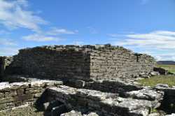 Cubbie Roo’s Castle