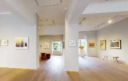 Braewell Gallery