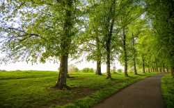 Inverleith Park