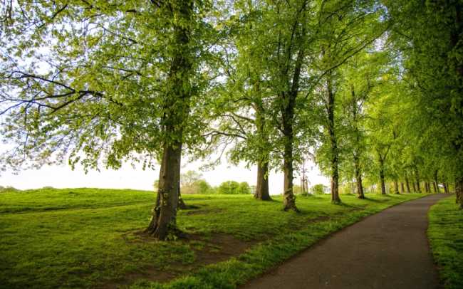 Inverleith Park