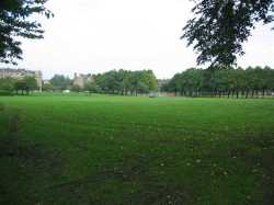 Harrison Park