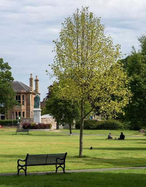 Victoria Park