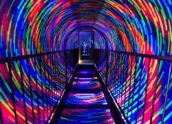 Camera Obscura & World of Illusions