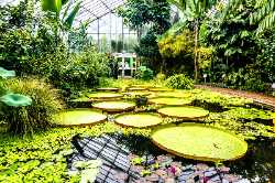 Royal Botanic Garden Edinburgh